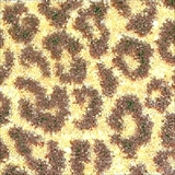 Milliken Carpets
Asmora